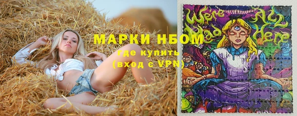 MESCALINE Аркадак